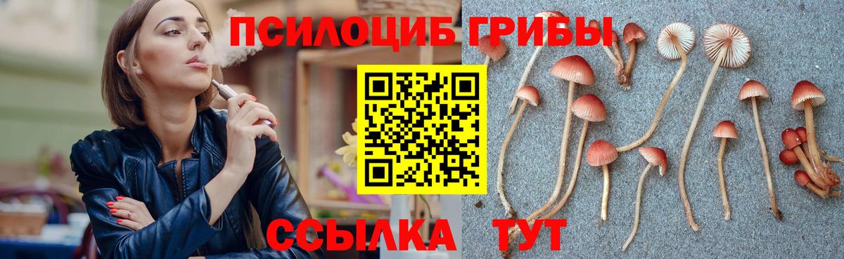 Галлюциногенные грибы мухоморы  Вход с VPN  Комсомольск-на-Амуре  Псилоцибиновые грибы Magic Shrooms 